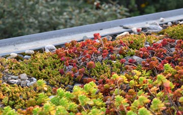 the cost of City green roof installation